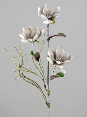 Produktbild von künstlicher Deko Magnolienzweig mit 3 Blüten L. 110cm grau Formano Foam Flower