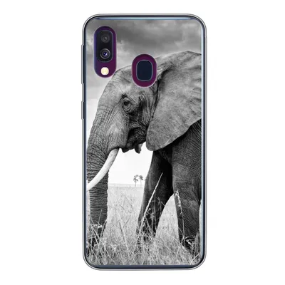 Produktbild von MuchoWow® Handyhülle Schutzhülle Hülle für Samsung Galaxy A40 Elefant - Gras - Tiere - Schwarz und weiß Silikon Softcase Handy Hülle - Handy-Tasche