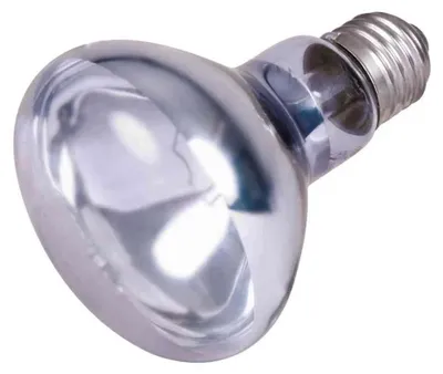 Obrázek produktu pro TRIXIE 4011905760087, 100 W, 1 kusů, 8 cm, 108 mm