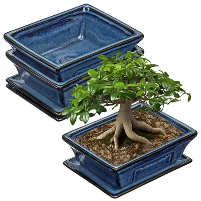 Obrázok produktu pre Sada dvoch keramických bonsai hrnčekov, modrej farby, priemer 16 cm, ploché, s odvodňovacím otvorom