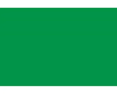 Image de Patifix - Feuille de couleur unie 10-1365 GREEN LESK - largeur 45 cm