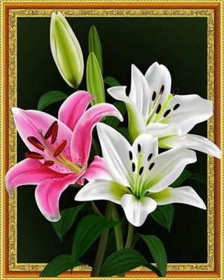 Produktbild von Diamantstickerei Zarte Lilien 40x50