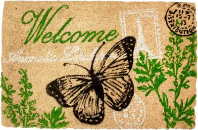 Obrázek produktu pro Home Elements Rohožka WELCOME - motýlek 40 x 60 cm