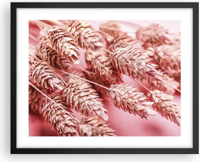 Produktbild von Gerahmtes Poster - Schwarzer Rahmen - Klinge Gras getrocknet - 50x40 cm - Wand Bild - Wanddeko - Wandbilder - Kunstposter - Wandposter - Bilderrahmen - Bilder - Kunstdruck - P2BAA50x40-5120