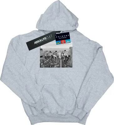 Produktbild von Friends - Kapuzenpullover für Damen BI7301 (S) (Grau)