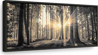 Produktbild von Italienischer Leinwand Leinwandbild - Forest Sun 135x45 cm Landschaften c-B-0077-b-c