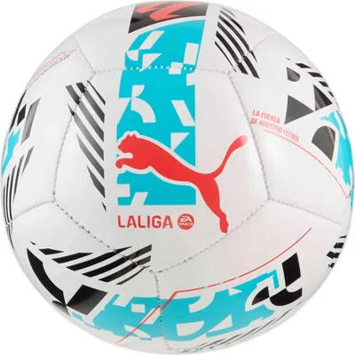 Image de Puma Soccer ball 084636-01 in White color