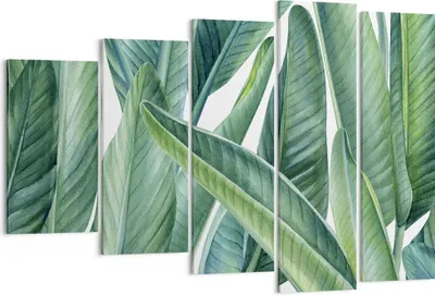Produktbild von Bild auf Leinwand - Leinwandbild - 5 Teile - Exotisch Blätter Grün - 150x100cm - Wand Bild - Wanddeko - Wandbilder - Leinwanddruck - Bilder - Wanddekoration - Leinwand bilder - EG150x100-4258