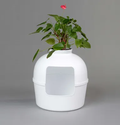 Immagine prodotto di RHRQuality Lettiera per gatti - Flower XXL – Toilette nascosta per gatti – Per gatti di grossa taglia – Con ampio ingresso (51 cm) e parte superiore rimovibile – Bianca
