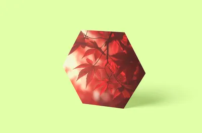 Produktbild von Ahornblätter Wandbild Hexagon | Größe in cm: 20 x 20