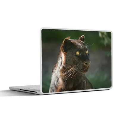 Produktbild von MuchoWow® Laptop Aufkleber Sticker Cover Panther - Nahaufnahme - Schwarz 32.5x23.5 cm - Sticker für Laptop - Selbstklebend