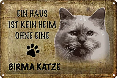 Produktbild von Blechschild Spruch 30x20cm Birma Katze ohne kein Heim