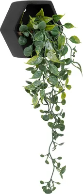 Obrázek produktu pro Umělá závěsná rostlina v cementovém květináči AYAME, 14 cm