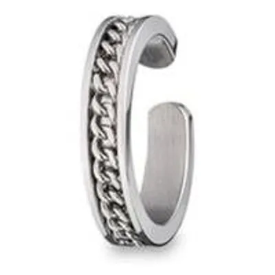 Obrázok produktu pre Dámske náušnice AN Jewels AS.PC02