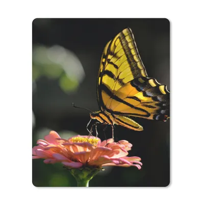 Produktbild von MuchoWow® Mauspad Mousepad Schmetterling - Botanisch - Blume 19x23 cm - Mousepads - Maus Mat - Pad - Mausunterlage - Mauspads - Spielen