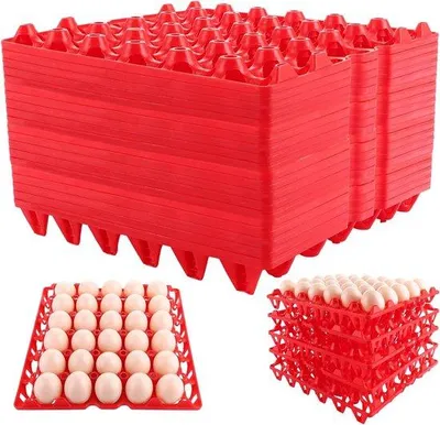 Obrázok produktu pre Vajíčkár na 20–30 vajec, červený, vhodný do chladničky