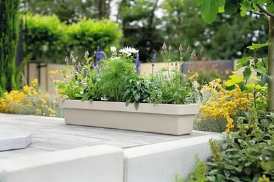 Produktbild von Blumenkasten geli VIVA Kunststoff 98 x 21,2 x 17,1 cm sand inkl. Wasserstandsanzeiger und Zwischenboden