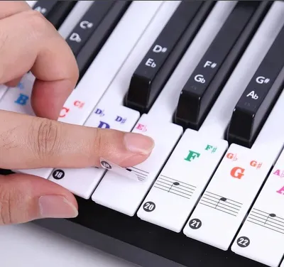 Produktbild von Klavieraufkleber – Tastaturaufkleber – einfaches Erlernen von Musiknoten – 49/54/61/88 Tasten – Farbe