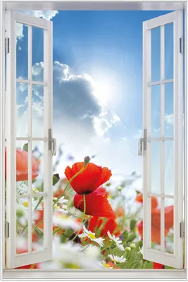 Produktbild von Wallario Wandbild mit Fenster-Illusion: Mohnblumen unter blauem Himmel, Größe: 61 x 91,5 cm, Poster mit weißem Aluminiumrahmen