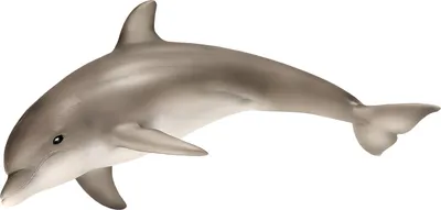 Image de Schleich 14699 - Figurine de dauphin