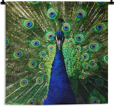 Produktbild von MuchoWow® Wandteppich Wandbehang Pfau - Federn - Augen 60x60 cm Tapisserie Dekoration Wandtuch - Dekorationen - Wand Decke