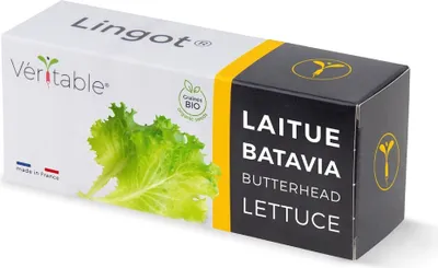 Image de Laitue Lingot -