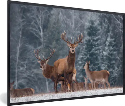 Produktbild von MuchoWow® MuchoWow® Gerahmtes Poster Hirsche - Tiere - Natur 90x60 cm - Poster mit zchwarzem Bilderrahmen - Fotorahmen - Foto-Plakat