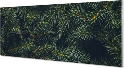 Produktbild von Glasbilder 125x50 Wandkunst Weihnachtsbaum Zweige
