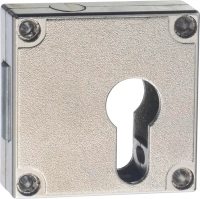 Image de Serrure de meuble Junie, entraxe 40 mm - Serrure d'armoire, à visser à gauche/à droite pour demi-cylindre profilé, laiton nickelé