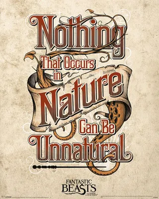 Image de Les Animaux fantastiques - Mini-Poster - Unnatural + 1 Ü-Poster de taille 61x91,5cm