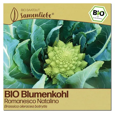 Produktbild von Samenliebe  Blumenkohl Samen | Romanesco Natalino - grün - samenfestes  Saatgut