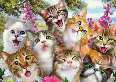 Zdjęcie produktu dla Puzzle 500T. Katzen-Selfie