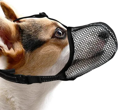 Produktbild von Maulkorb für kleine Hunde, weich, schwarz, verstellbar, für den Alltag