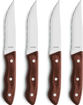 Immagine prodotto di Set di 4 coltelli da bistecca Amefa HERCULE