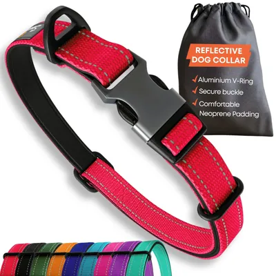 Productafbeelding van Sweetie Hondenhalsband, gevoerd, maat M - Reflecterende hondenhalsband voor kleine honden