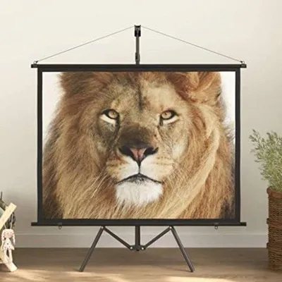 Productafbeelding van Famanu beamerdoek - 60 inch, formaat 4:3, met statief