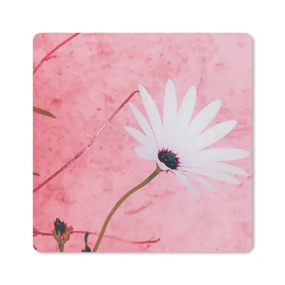 Produktbild von MuchoWow® Mauspad Mousepad Blumen - Rosa - Vintage 20x20 cm - Mousepads - Maus Mat - Pad - Mausunterlage - Desk Mat - Bureauartikeln