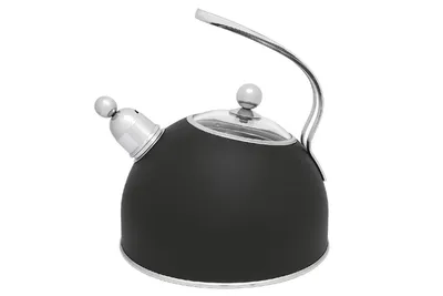 Produktbild von Bredemeijer Flötenkessel    2,5l Edelstahl schwarz matt    171002