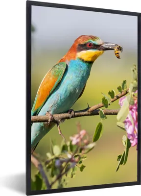 Produktbild von MuchoWow® Gerahmtes Poster Vogel - Bienenfresser - Blumen 20x30 cm - Poster mit Schwarzem Bilderrahmen Wandposter Rahmen Foto Bilder - Drucken - Bilder Poster im Rahmen