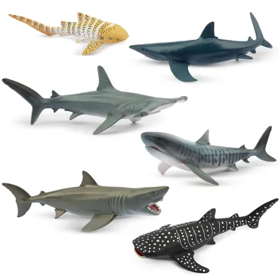 Produktbild von Toymany Haie 6 Teile Tierfiguren Set J-OCEAN01-SHA6P
