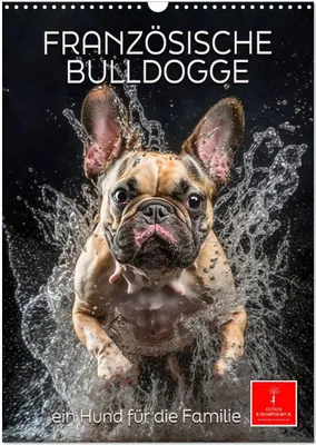 Produktbild von Französische Bulldogge - ein Hund für die Familie (Wandkalender 2026 DIN A3 hoch), CALVENDO Monatskalender