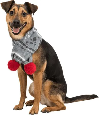 Image de Trixie écharpe de Noël gris/blanc L 90cm