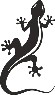 Produktbild von Hermann Schütz Aufkleber Gecko schwarz 265x155mm