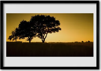 Produktbild von Bild 100x70 MDF-Rahmen Wandkunst Bäume pflanzen Natur