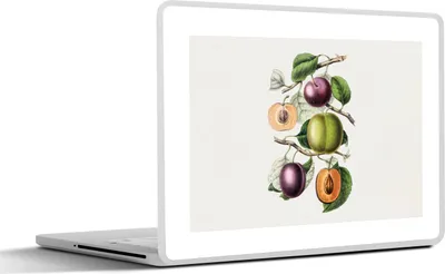Produktbild von MuchoWow® Laptop Aufkleber Sticker Cover Obst - Jahrgang - Pfirsich 40x30 cm - Laptop Dekoration - Selbstklebend
