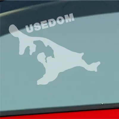 Produktbild von Auto Aufkleber USEDOM Spaß Insel Deutschland Urlaub 10x9 cm Milchglas Sticker Heckscheibenaufkleber