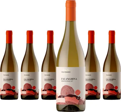 Produktbild von 6 x Villa Raiano Falanghina Beneventano IGT