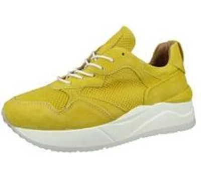 Obrázek produktu pro MJUS Sneaker 572127-0101-6879 Kinek Lemon