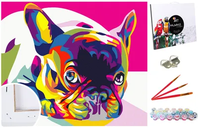 Produktbild von Malen nach Zahlen Set Gemälde 40x50cm auf dem Rahmen - Bunte Bulldogge