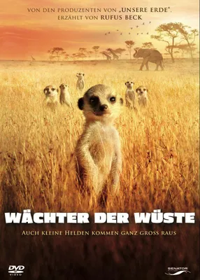 Produktbild von Wächter der Wüste